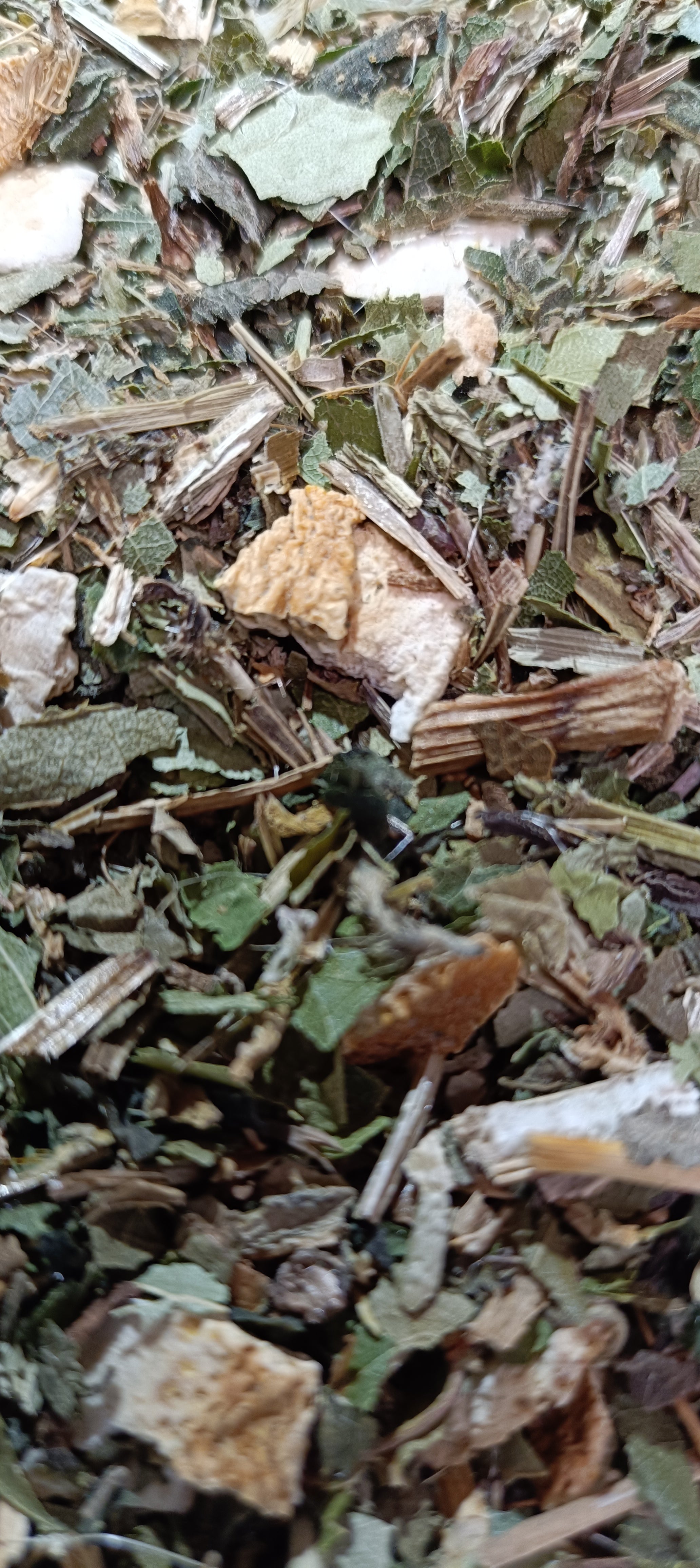 Detox Reinigings thee