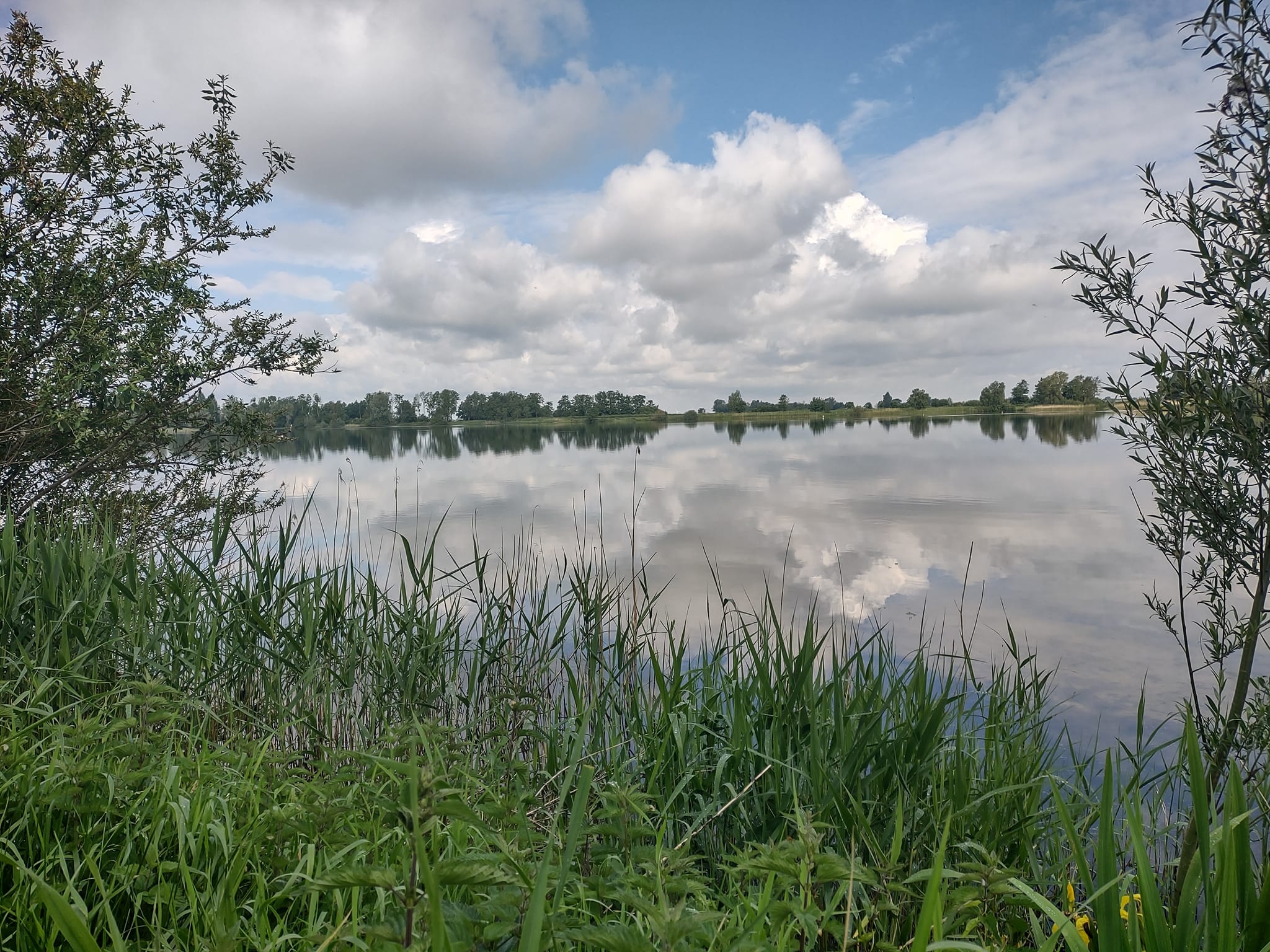 Kruidenwandeling (afrekenen)