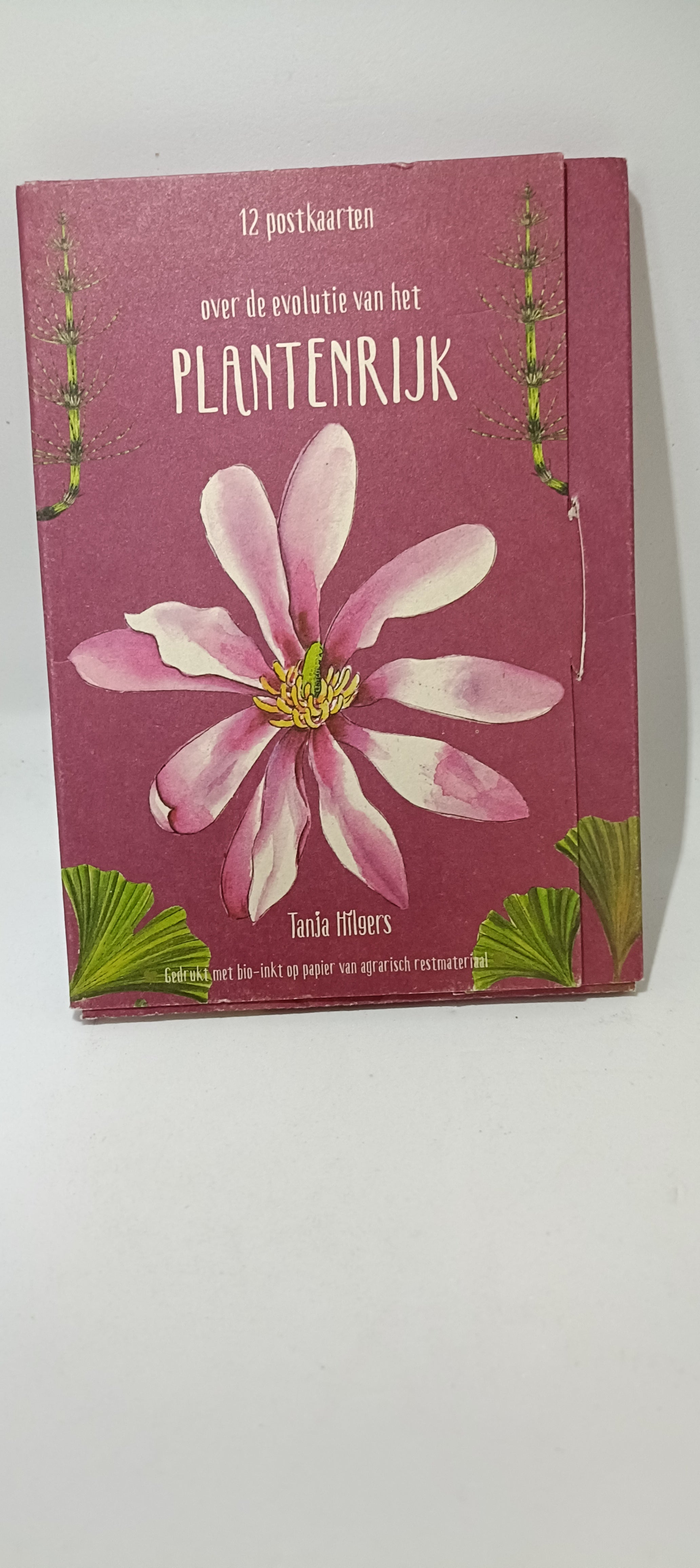 Plantenrijk postkaarten - Tanja Hilgers